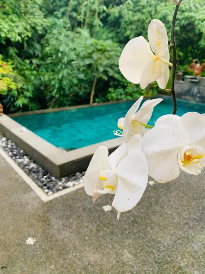 Gek House Ubud Eksteriør bilde