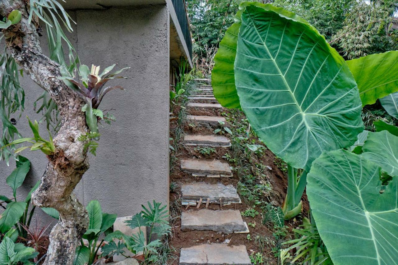 Gek House Ubud Eksteriør bilde